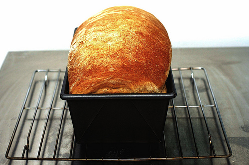 Light Wheat Bread