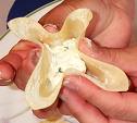 Crab Rangoon