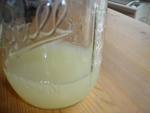 Homemade Pectin II